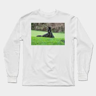 ring necked pheasant 4+2 Long Sleeve T-Shirt